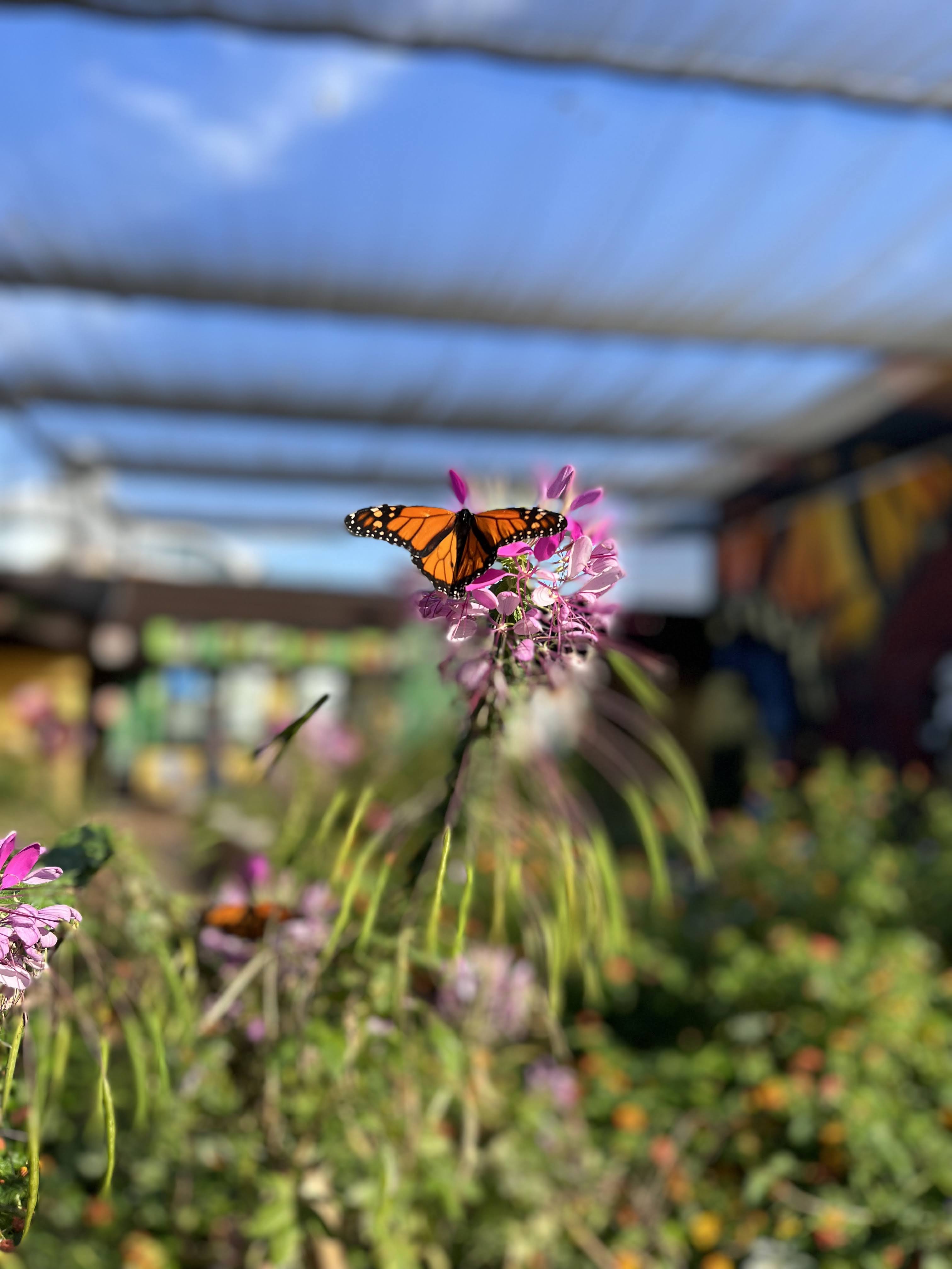 Greensboro Science Center